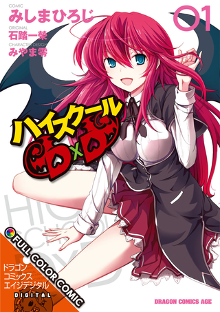 Старшая школа DxD (Официальная цветная версия)