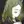 Linka