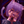 LueL