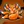 Light Fox Team