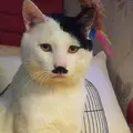 KsinQ